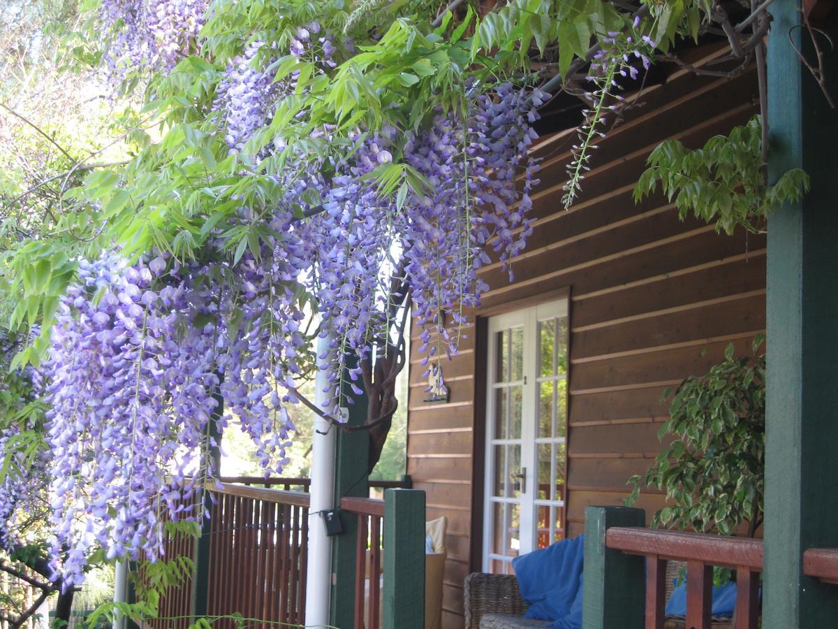 Rosemoore Bed & Breakfast Perth Esterno foto